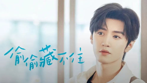 陈哲远与剧组小狗的温暖故事