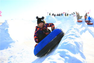冰雪同梦，一场冬日的梦幻之旅