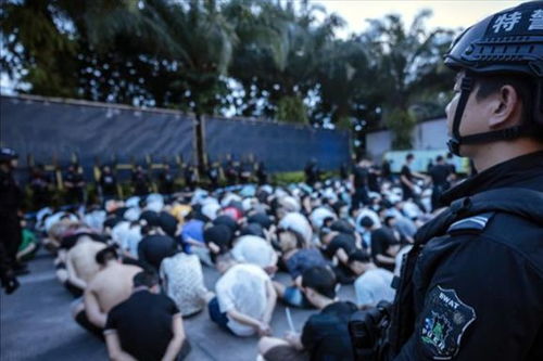 缅甸妙瓦底电诈园解救行动，39名中国人获救