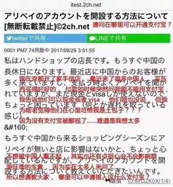 九个月赚取一亿，公司扩张背后的故事与分公司注销的深度解析