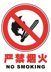 男孩扔鞭炮烧车事件，监护人全责的警示
