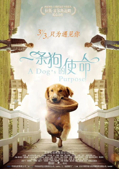 主人归来，狗狗重获自由——论宠物与商业广告的界限