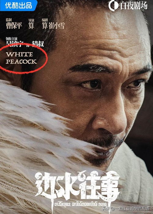 孙龙赛后怒吼就是脏的背后故事