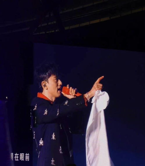 谢娜带留置针看张杰演唱会，爱与坚持的力量