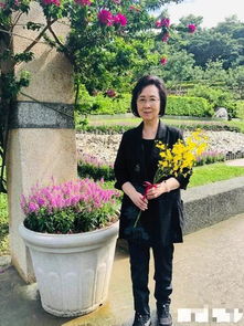 平鑫涛前妻离世，琼瑶插足婚姻风波再起