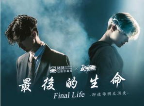 演员高亮，生命的璀璨与突然消逝