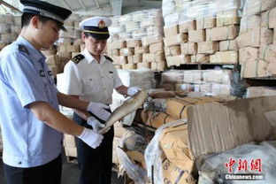 北京海关查获重大走私案，27.7千克冷冻猪肚曝光