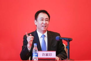 许家印前妻寻求法院资产披露指引，深度解析与探讨