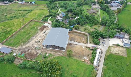 绍兴百草园遗址揭秘，战国早期遗迹的发现与意义