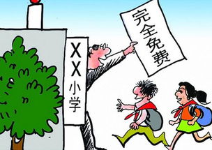 代表呼吁，积极推进，尽早实施12年义务教育