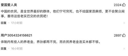 人大代表提议，提升农民养老金标准，保障农村老年生活