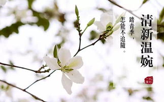 春意盎然，你收到了这封春天的来信吗？