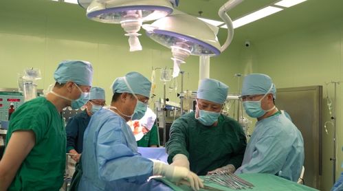 完全截瘫患者在上海重获新生的步伐