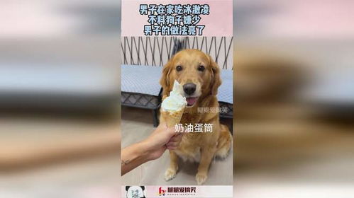 小孩姐的冰淇淋冒险，一场与狗狗的甜蜜误会