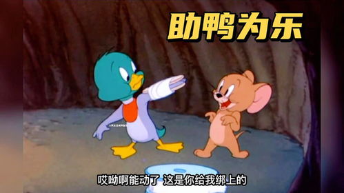 海尔老总意外撞脸结界兽，一场幽默与科技交融的奇妙经历