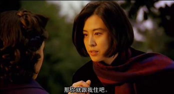 王祖贤与吴彦祖，艾灸与课程的奇妙交汇