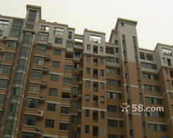 小区住房被当骨灰房？实情揭秘