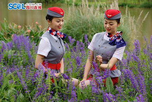 双生花盛开，空姐双胞胎同日出嫁，礼金只收一份的温馨故事