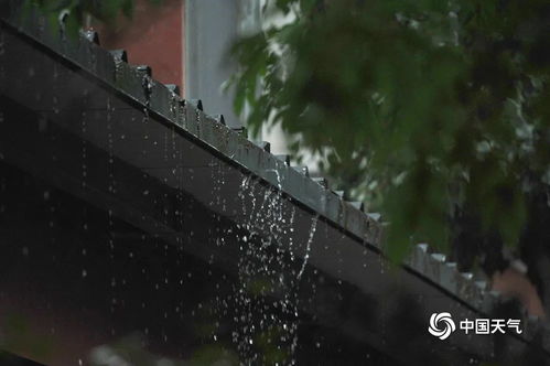 广东湖南遭遇罕见8级以上雷暴大风与冰雹天气