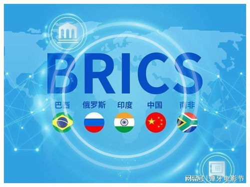 美国寻求欧洲多国合作，鸡蛋供应问题引发热议