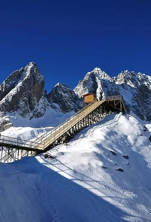 玉龙雪山雪崩事件，景区回应与游客的惊险遭遇