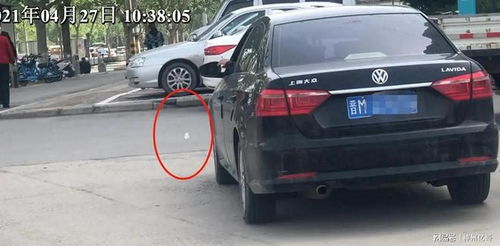 男子跨省行动，车窗抛物奖金缩水背后的环保之争
