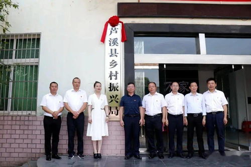 关晓彤，乡镇企业家的璀璨之星