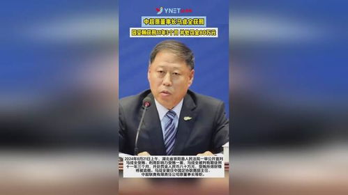 上市国企原董事长获刑，任内亏损51亿的背后