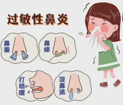 揭秘过敏性鼻炎的幕后黑手
