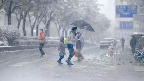 寒潮来袭，多地降温幅度或超20℃，如何应对寒潮挑战？
