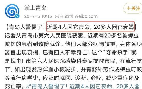 冰岛儿童部长与未成年发生关系产子事件，社会伦理与法律责任的反思