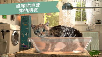 猫的意外冒险，被困在洗衣机里洗了个澡