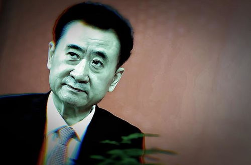 王健林80亿元股权被全部冻结，商业巨头的挑战与反思