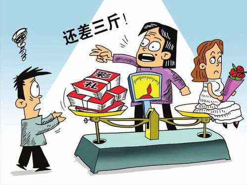 订婚强奸案男方家属要求退还彩礼，道德与法律的双重考量