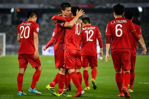 国足0-2失利澳大利亚，直通世界杯梦想破灭