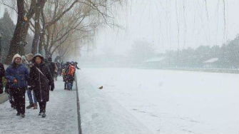 三月末的奇迹，东北鹅毛大雪的独特魅力