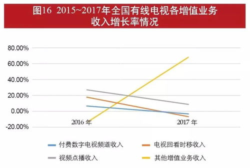 云南瑞丽灾情统计，伤亡及受损情况深度解析
