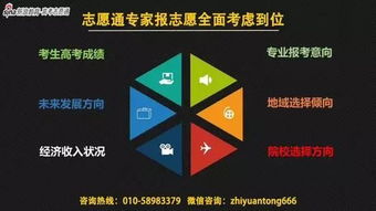 浙江填报模拟志愿详细步骤解析
