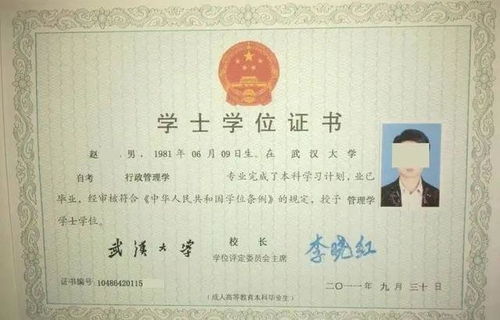 成人本科学士学位英语备考攻略，从基础到高分的全方位指南