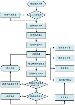 本科院校里的专科如何报考？详细流程解析