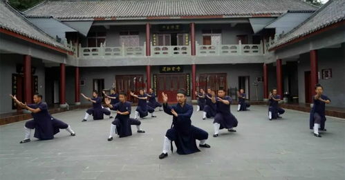 陕西武术院与西北武术院，谁更适合你的武学之路？