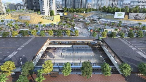 衡阳市区健身指南，探索城市中的健身天地